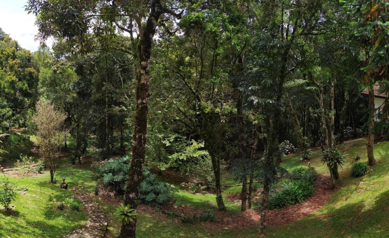 Refugio Do Selado Hotell Monte Verde  Eksteriør bilde