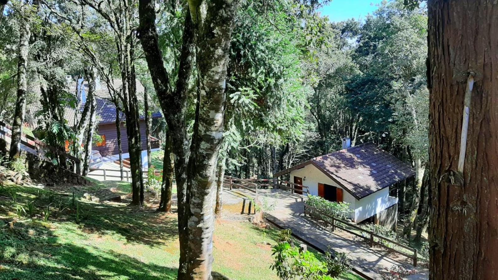 Refugio Do Selado Hotell Monte Verde  Eksteriør bilde